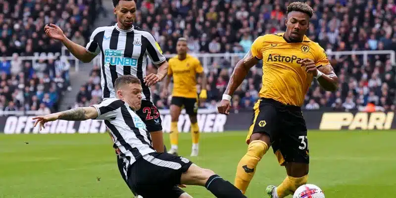 Dự đoán tỷ số và kết quả trận đấu Newcastle vs Wolves 16/01/2025